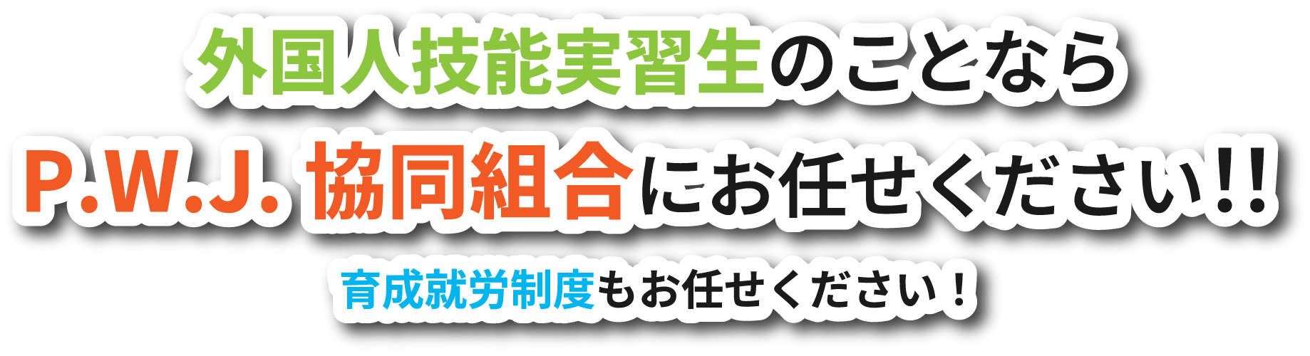 外国人技能実習生のことならP.W.J.協同組合にお任せください！！